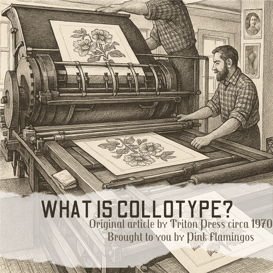COLLOTYPE at Triton Press, Inc., N.Y.C. - Pink Flamingos