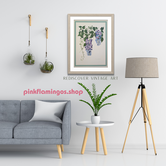 Buseri Phaseolus by Dorothy Platt | 1950 Vintage Botanical Collotype | Climbing Vine Wall Art