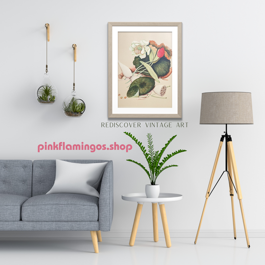 Lotus | 1950 Vintage Chinese Botanical Collotype | Asian Floral Wall Art