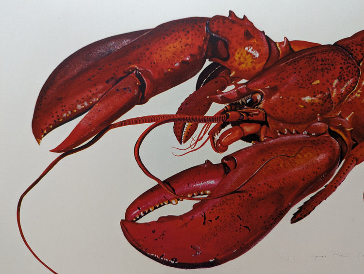 Lobster by Agnes Potter Lowrie | 1951 Mid-Century Kitchen Wall Art | Large Vintage Coastal Print