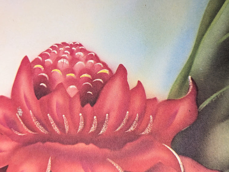 Torch Ginger by Unknown Artist | 1950s Hawaiian Floral Lithograph | Mid-Century Botanical Wall Art