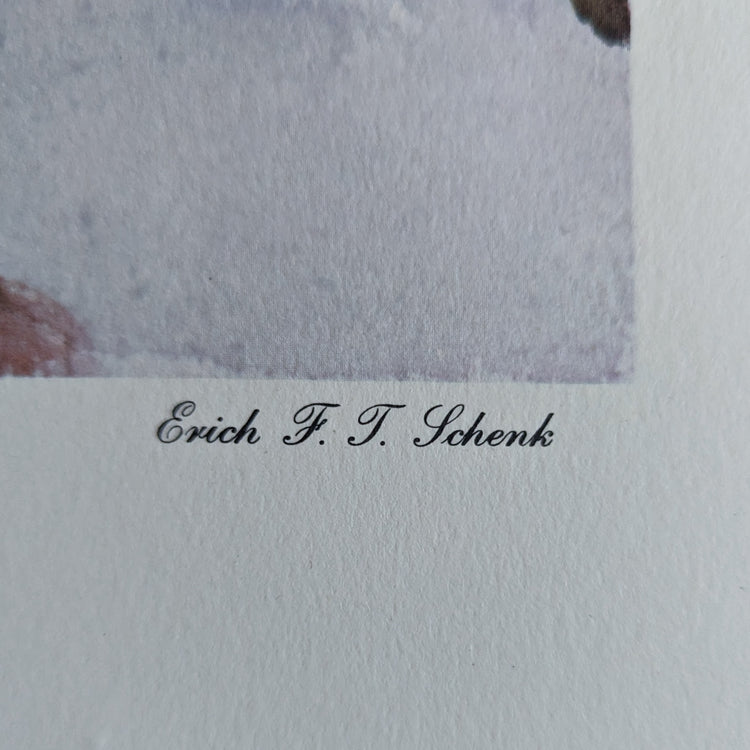 Sky Hibiscus by Erich F.T. Schenk | 1940s Vintage Floral Lithograph | Tropical Wall Art