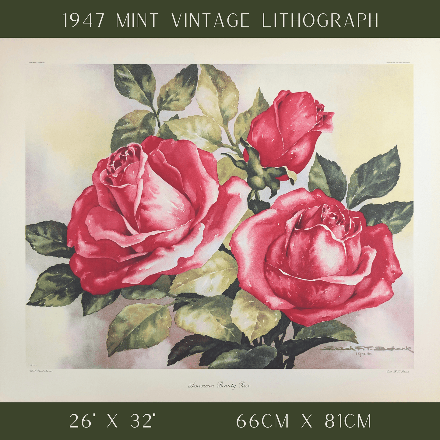 American Beauty Rose by Erich F.T. Schenk | 1940s Vintage Floral Lithograph | Romantic Wall Art - Offset Lithograph - Pink Flamingos