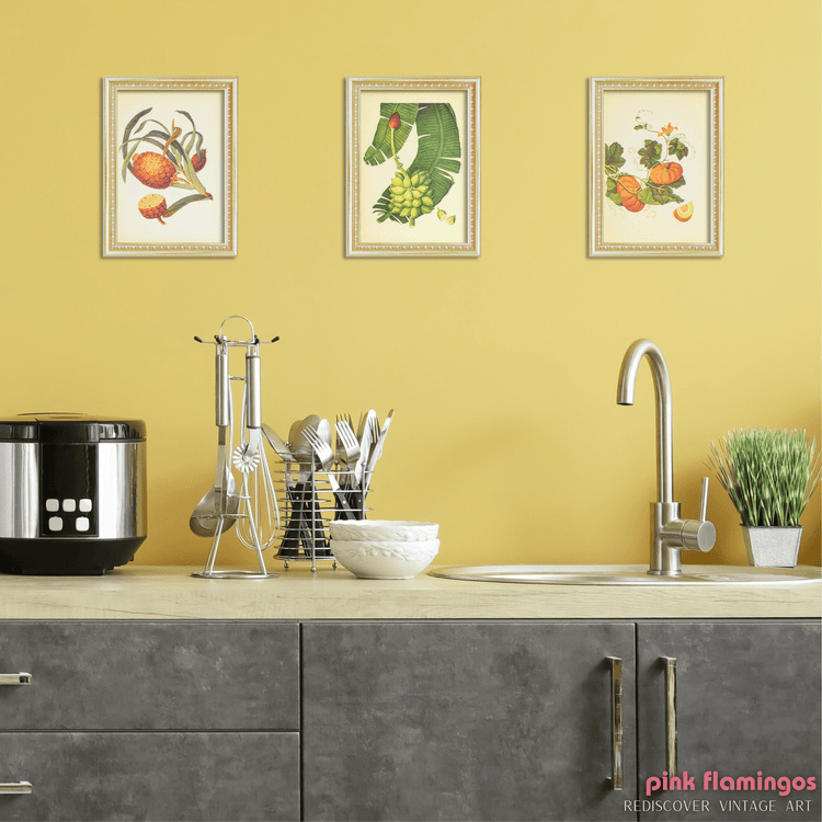 Banana (Plantain) | Unique Vintage Collotype Wall Art c.1950 | Chinese Still Life Print - Collotype - Pink Flamingos