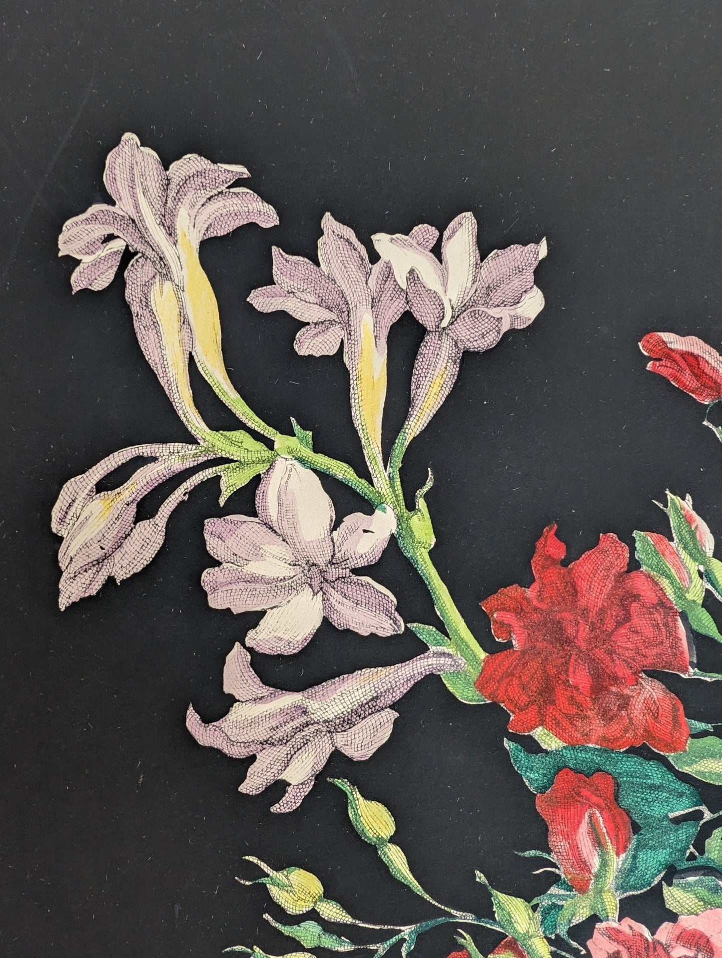 Basket of Flowers No. 1 | Jean - Baptiste Monnoyer Floral Chromolithograph | 1948 Vintage Print by Catalda Fine Arts - Chromolithograph - Pink Flamingos