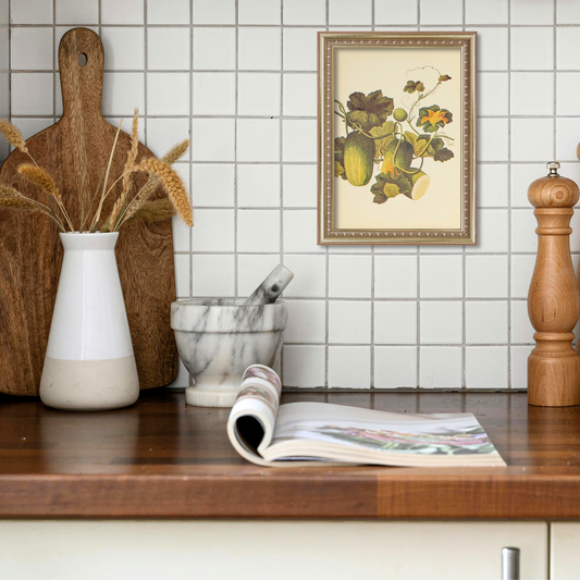 Cucumber | Unique Vintage Collotype Wall Art c.1950 | Chinese Still Life Print