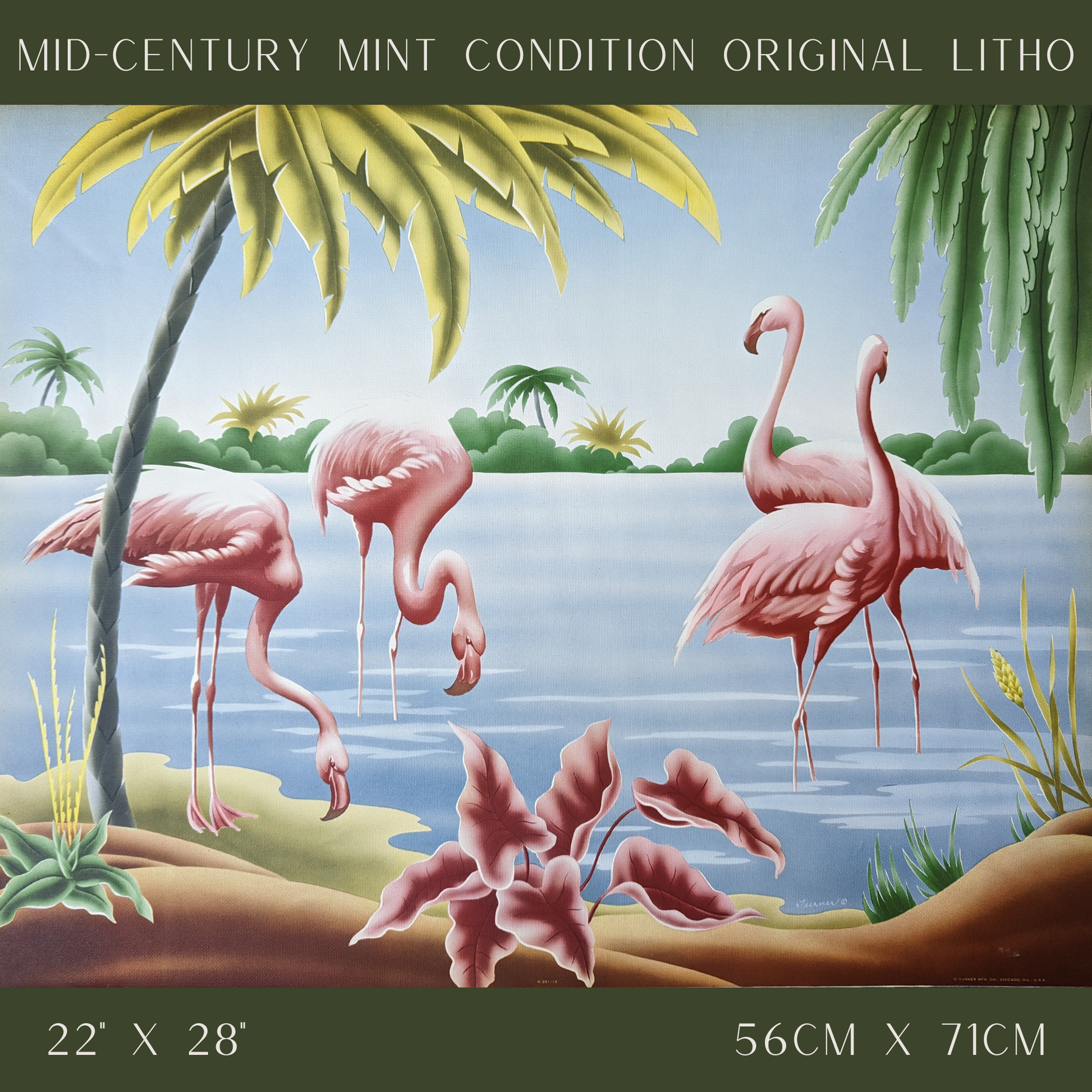 Flamingos by Turner/Toran, mint condition authentic vintage lithograph printed in the 1940s - Offset Lithograph - Pink Flamingos