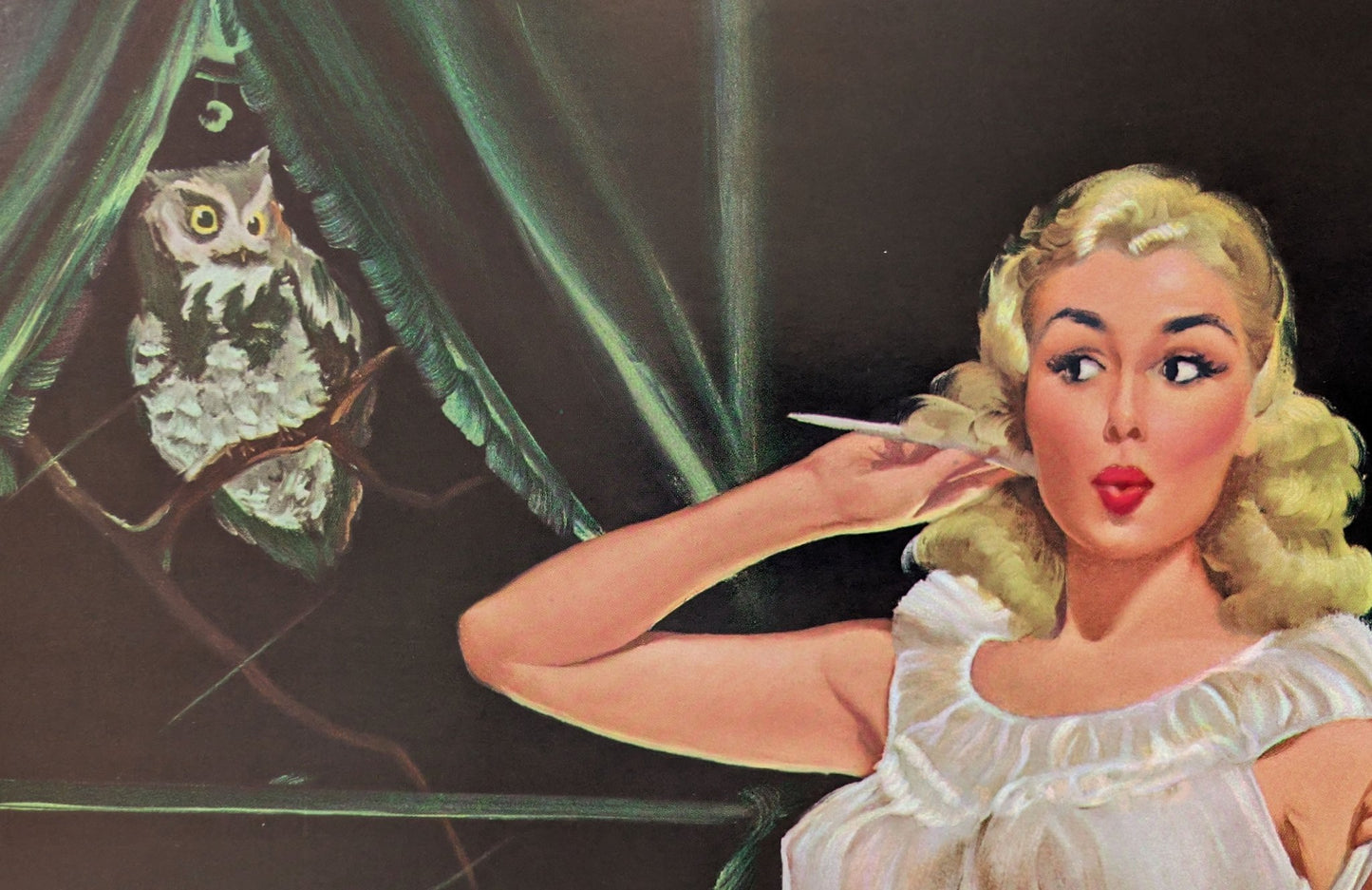 Night Owl by Peter Darro | 1940s - 50s Style Pinup | 1980s Glossy Lithograph - Lithograph - Pink Flamingos