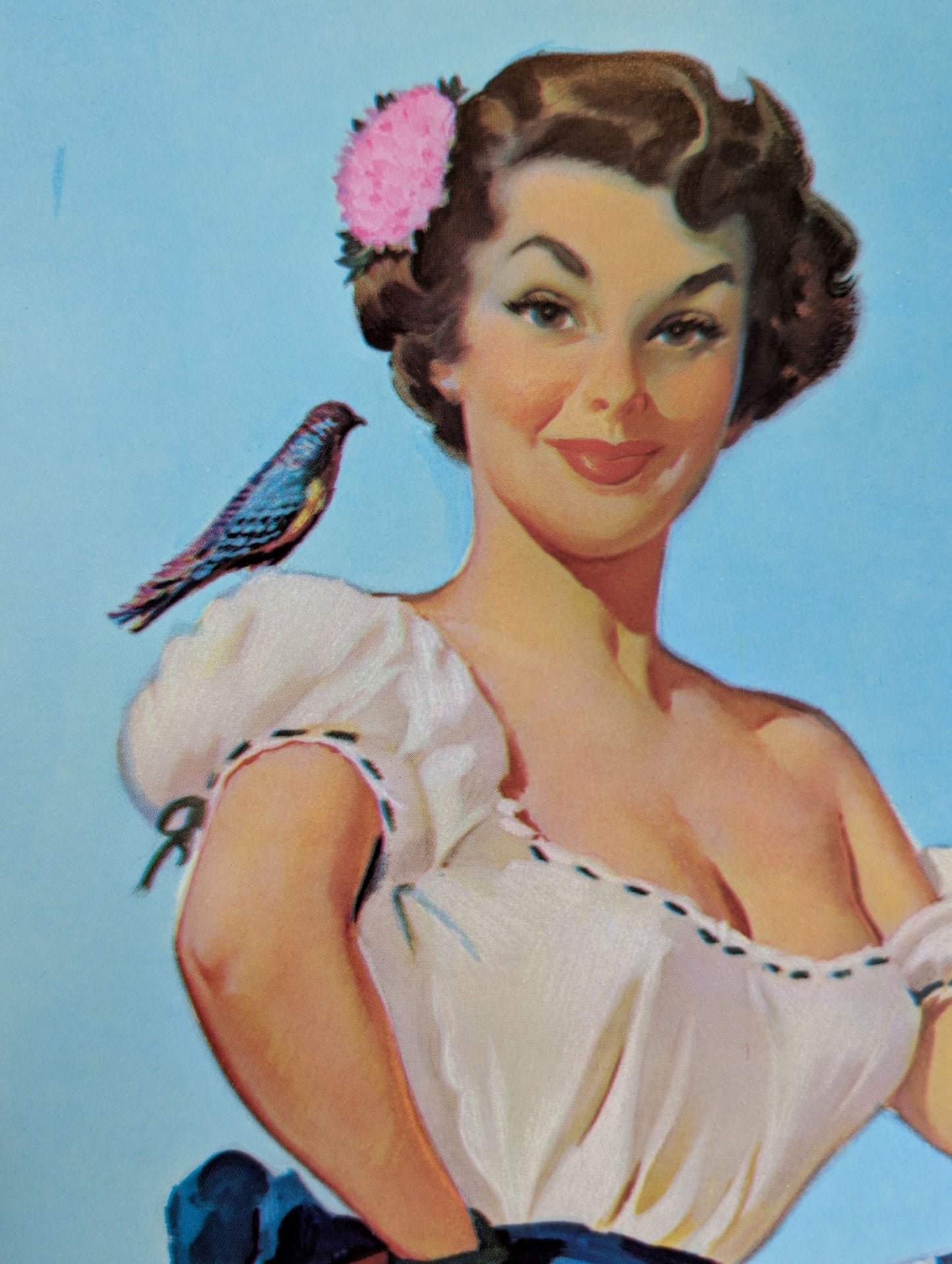 Painting the Birdcage by Peter Darro | 1940s - 50s Style Pinup | 1980s Glossy Lithograph - Pink Flamingos