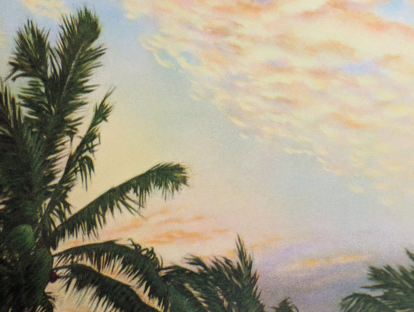 Palms at Sunset Vintage Tropical Lithograph by F.D. Ogden - Offset Lithograph - Pink Flamingos