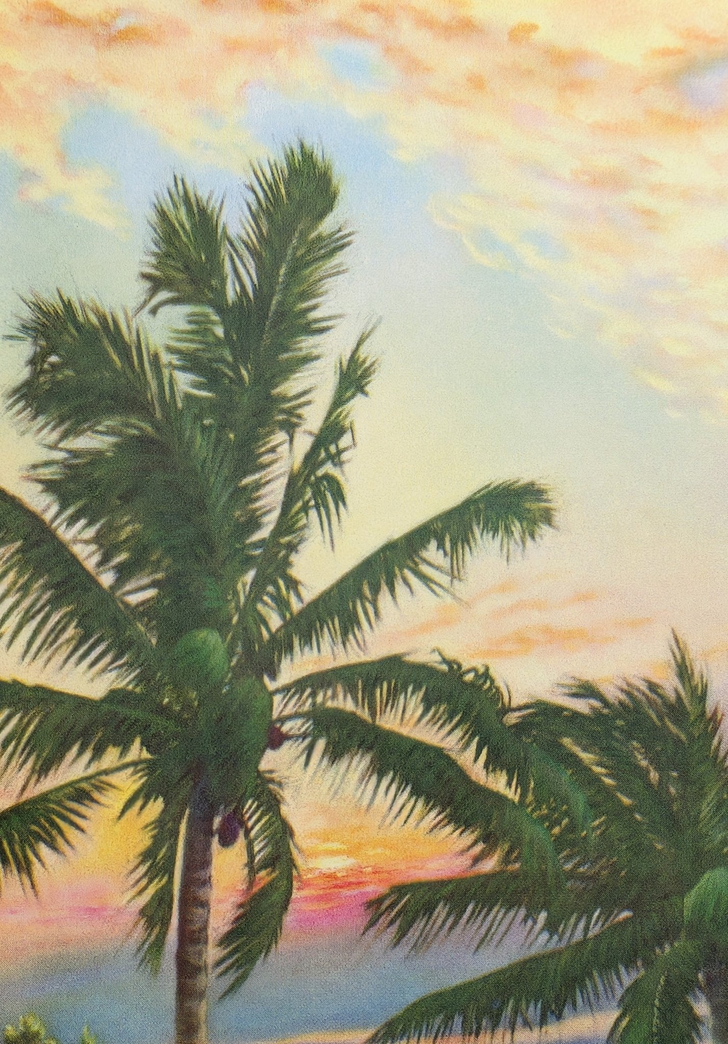 Palms at Sunset Vintage Tropical Lithograph by F.D. Ogden - Offset Lithograph - Pink Flamingos