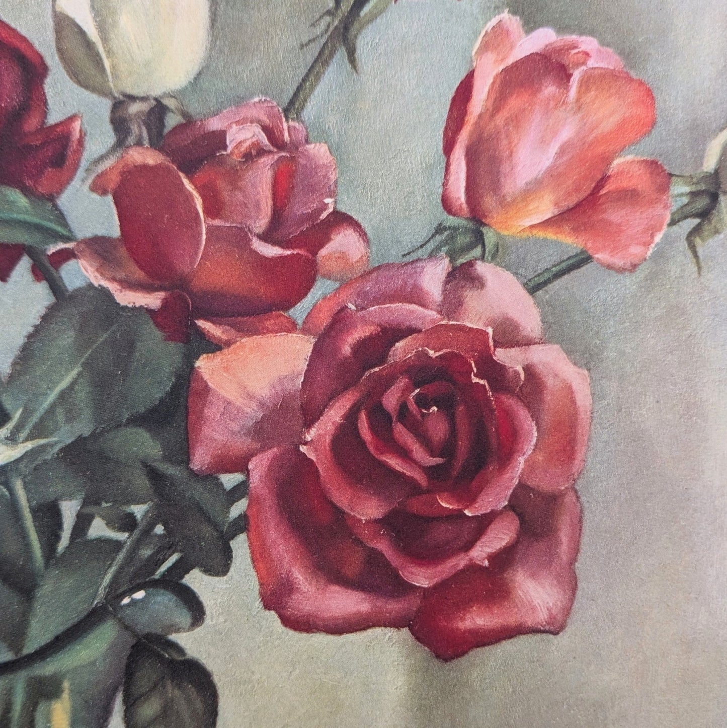 Roses by Harry Lane | 1945 Vintage Lithograph | Still Life Floral Wall Art - Offset Lithograph - Pink Flamingos