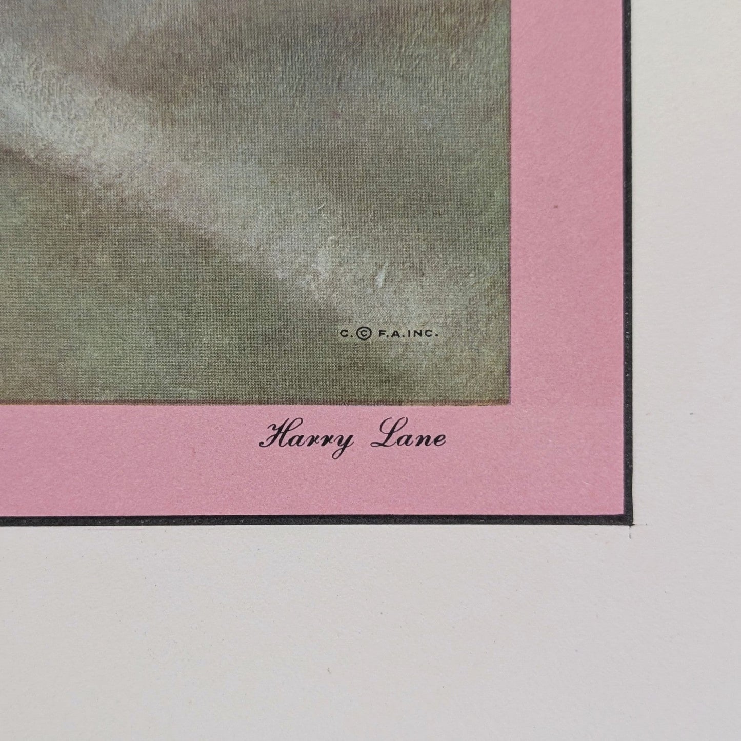 Roses by Harry Lane | 1945 Vintage Lithograph | Still Life Floral Wall Art - Offset Lithograph - Pink Flamingos