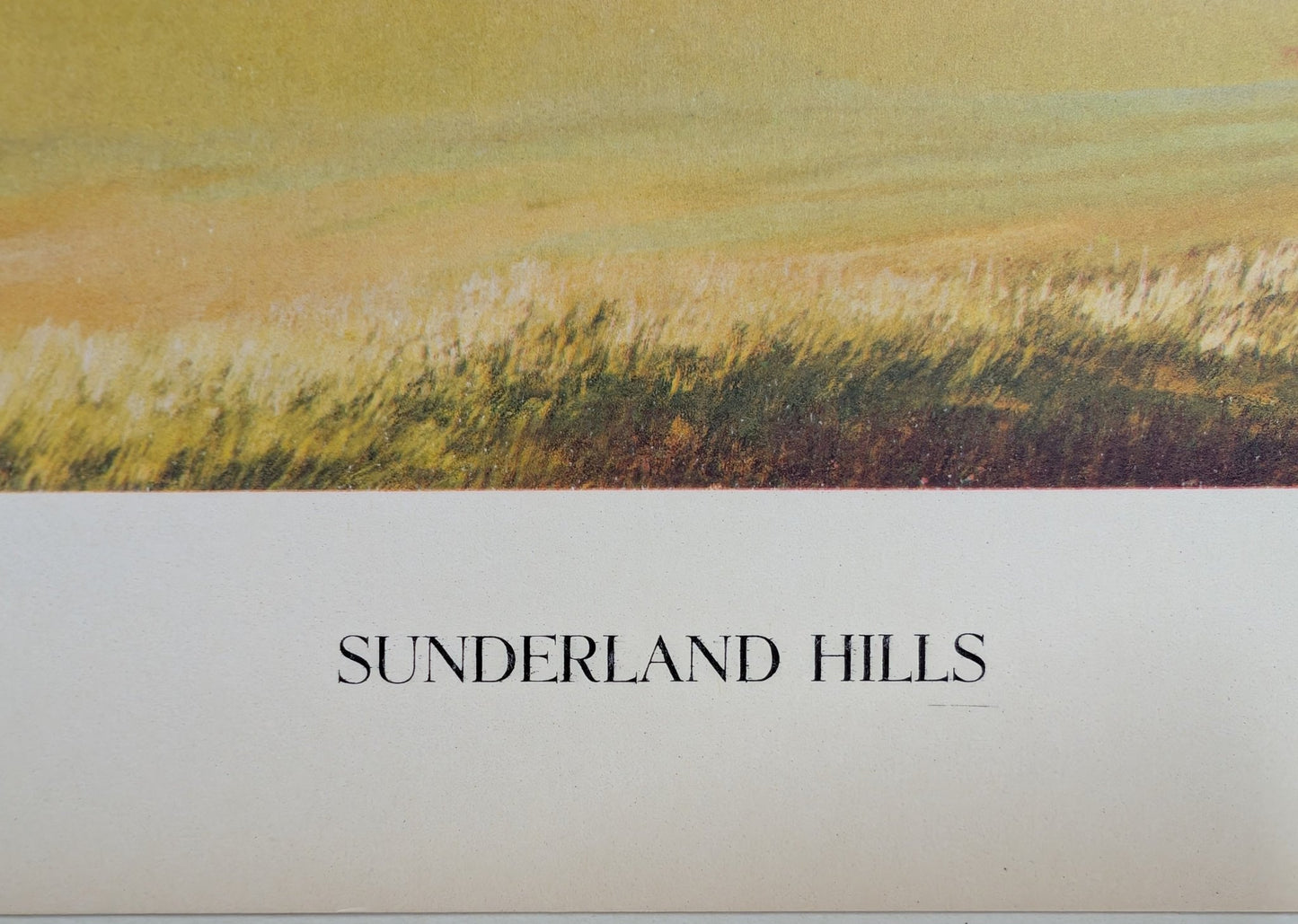 Sunderland Hills by James Ashley | 1950s Americana Landscape | Vintage Offset Lithograph - Offset Lithograph - Pink Flamingos