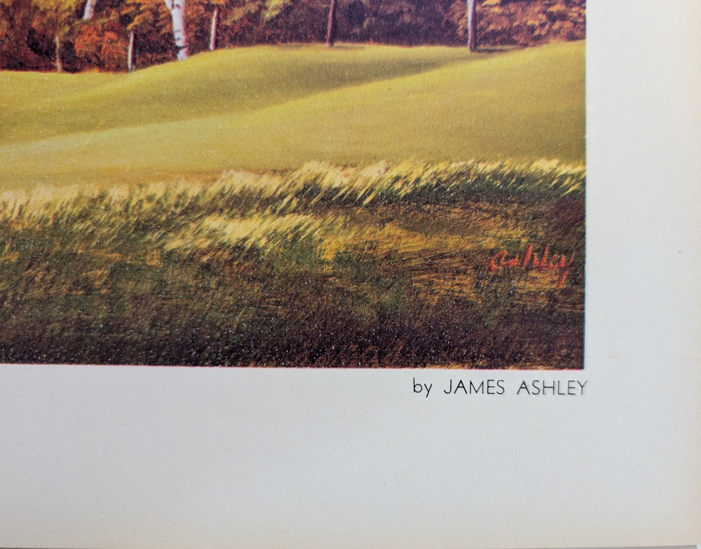 Sunderland Hills by James Ashley | 1950s Americana Landscape | Vintage Offset Lithograph - Offset Lithograph - Pink Flamingos