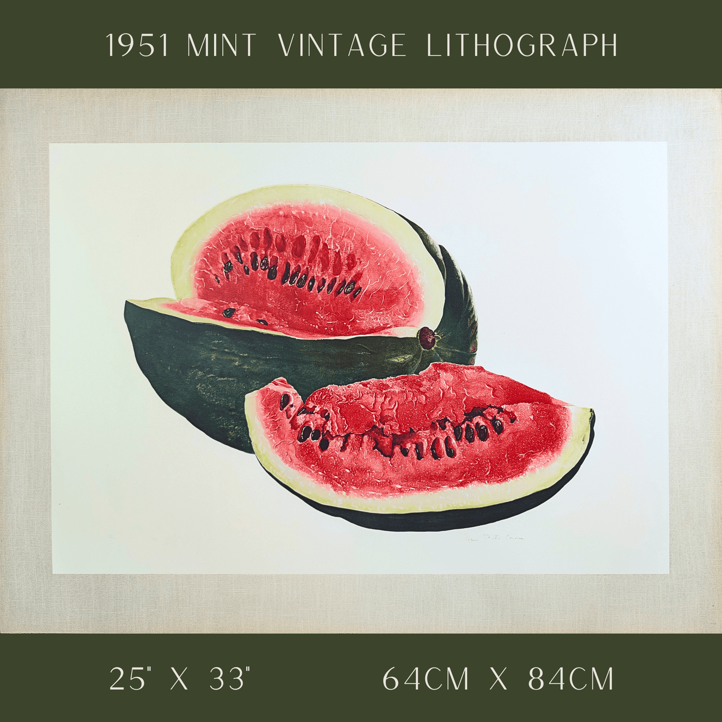 Watermelon by A.P. Lowrie, large mint condition vintage collotype printed in 1950 - Collotype - Pink Flamingos