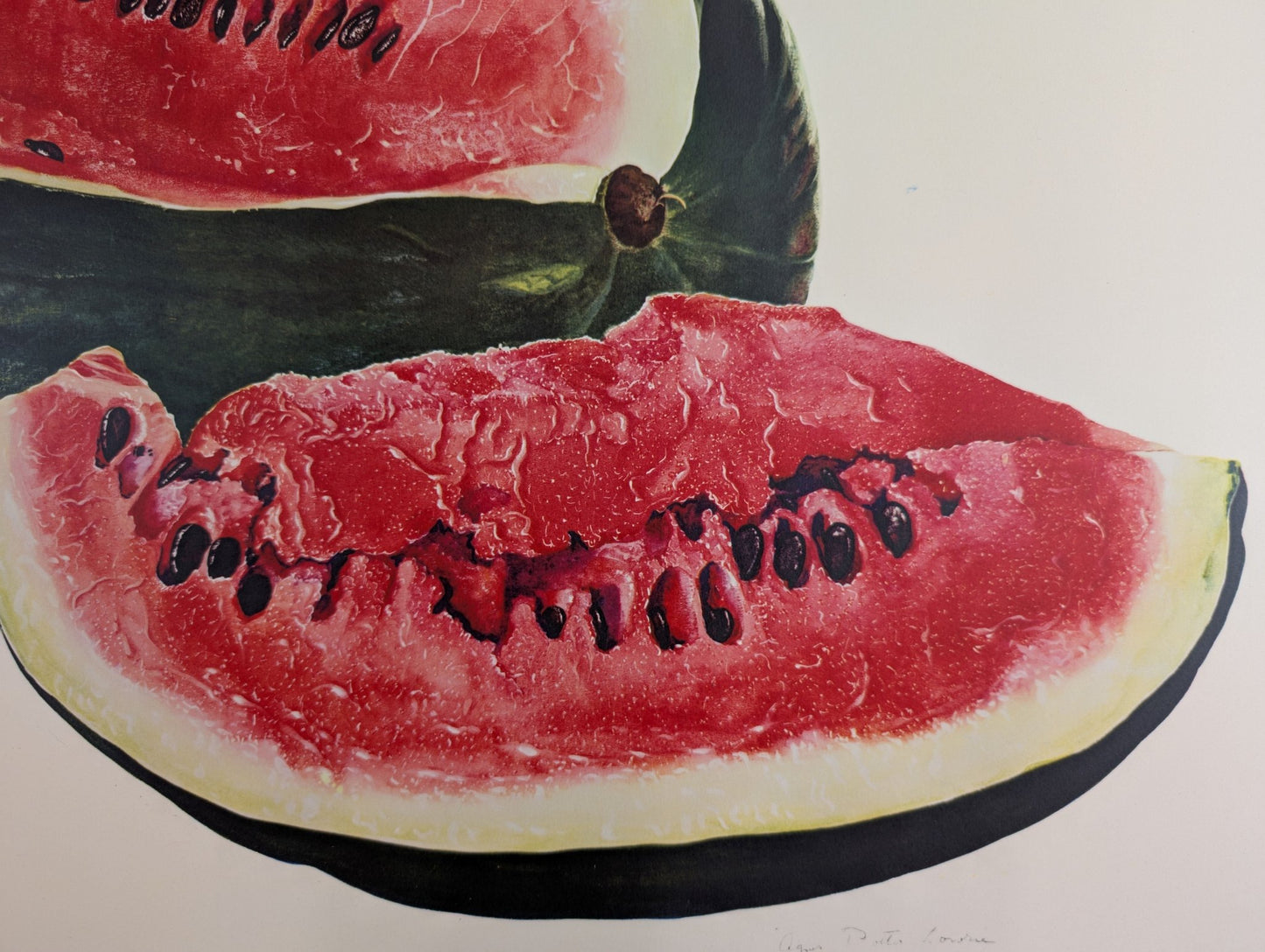 Watermelon by A.P. Lowrie, large mint condition vintage collotype printed in 1950 - Collotype - Pink Flamingos