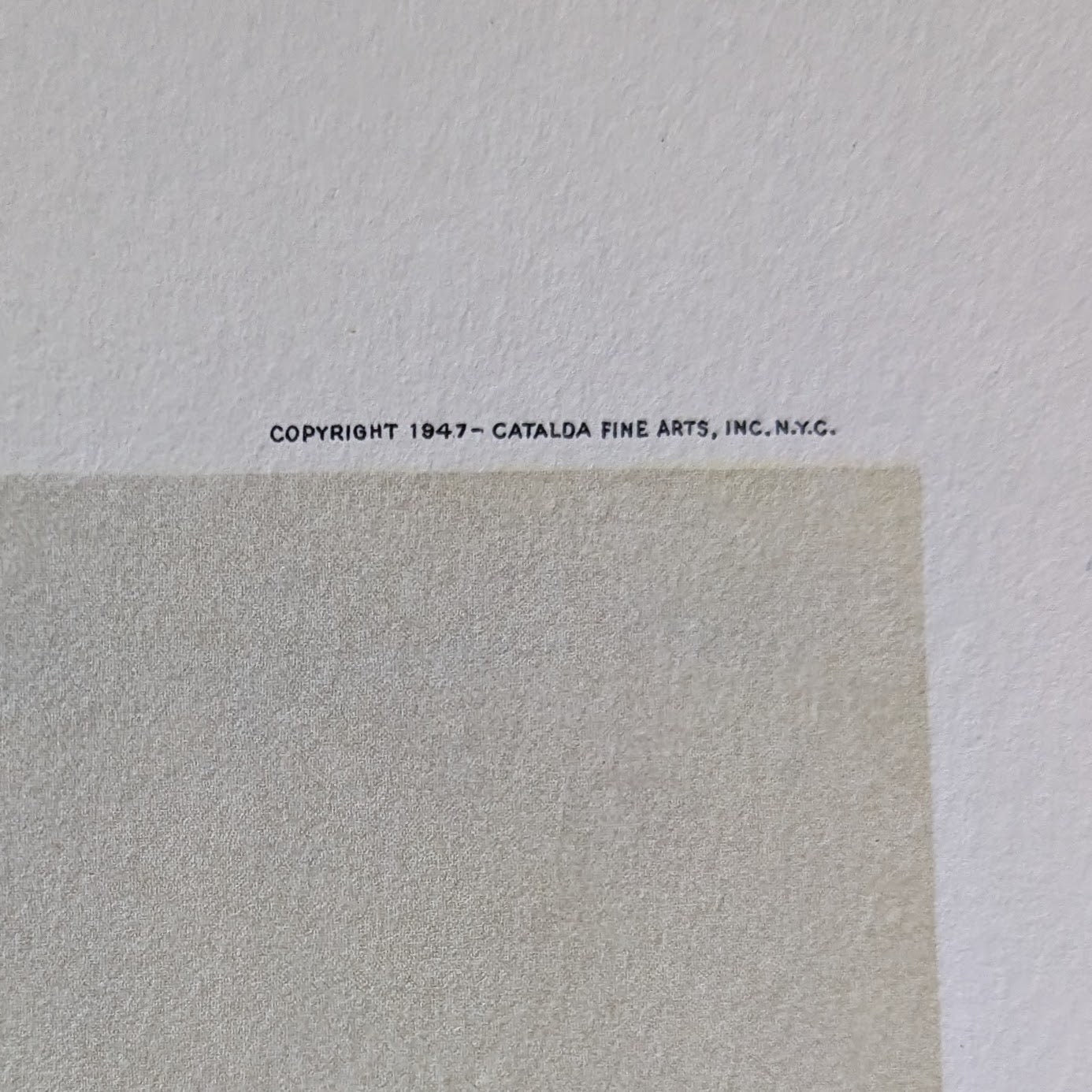 American Beauty Rose by Erich F.T. Schenk, mint condition authentic vintage lithograph printed in 1947 - Pink Flamingos