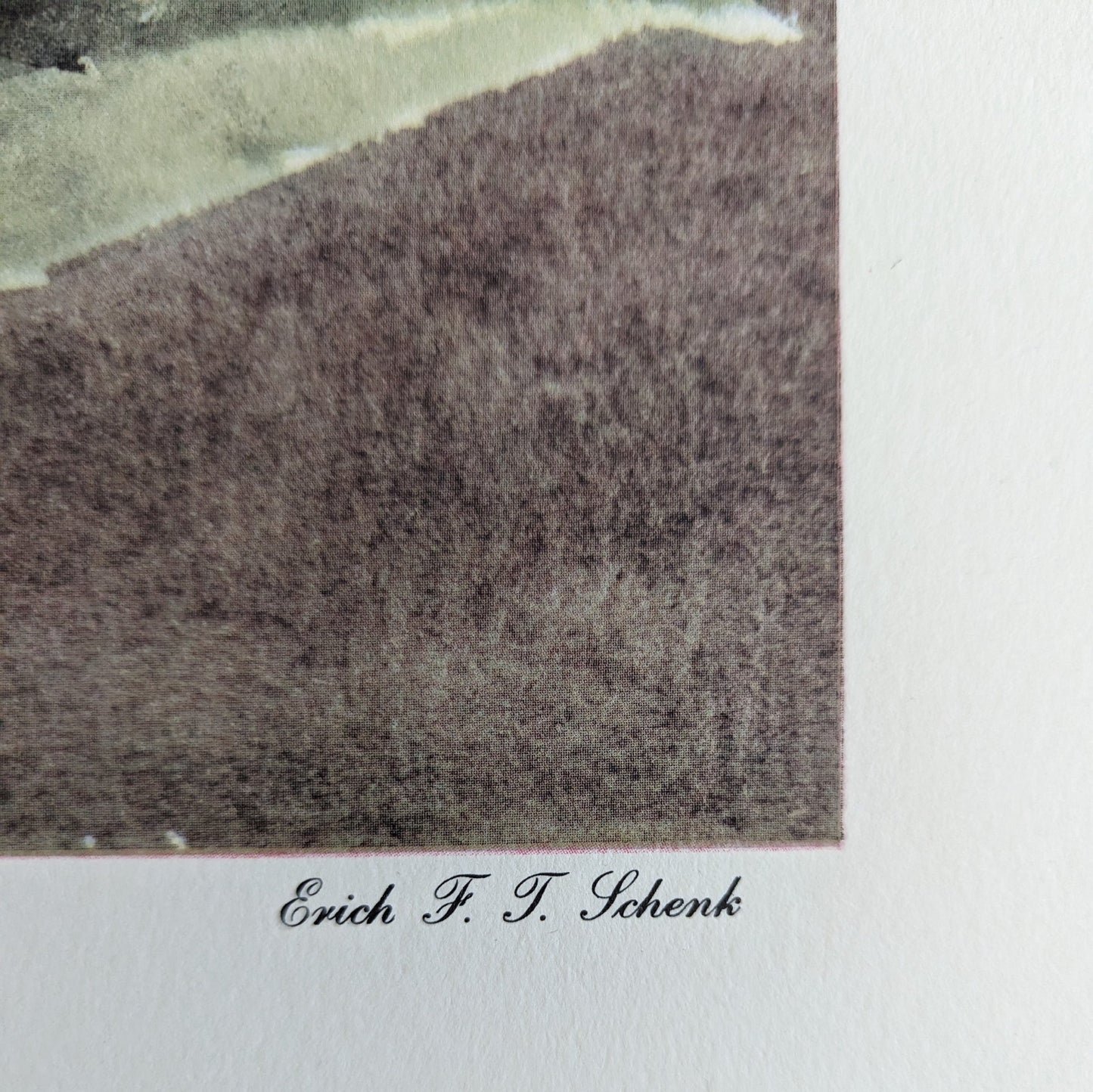 Luscious Tea Rose by Schenk, large authentic vintage mint condition floral lithograph printed in 1947 - Offset Lithograph - Pink Flamingos