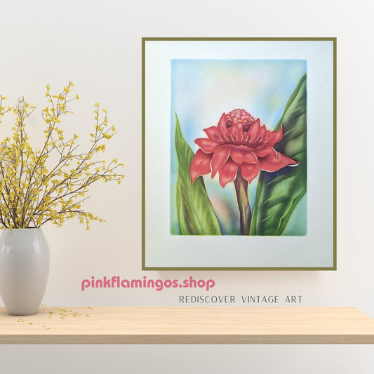 Red Ginger, mint condition vintage lithograph printed circa 1940 - Offset Lithograph - Pink Flamingos