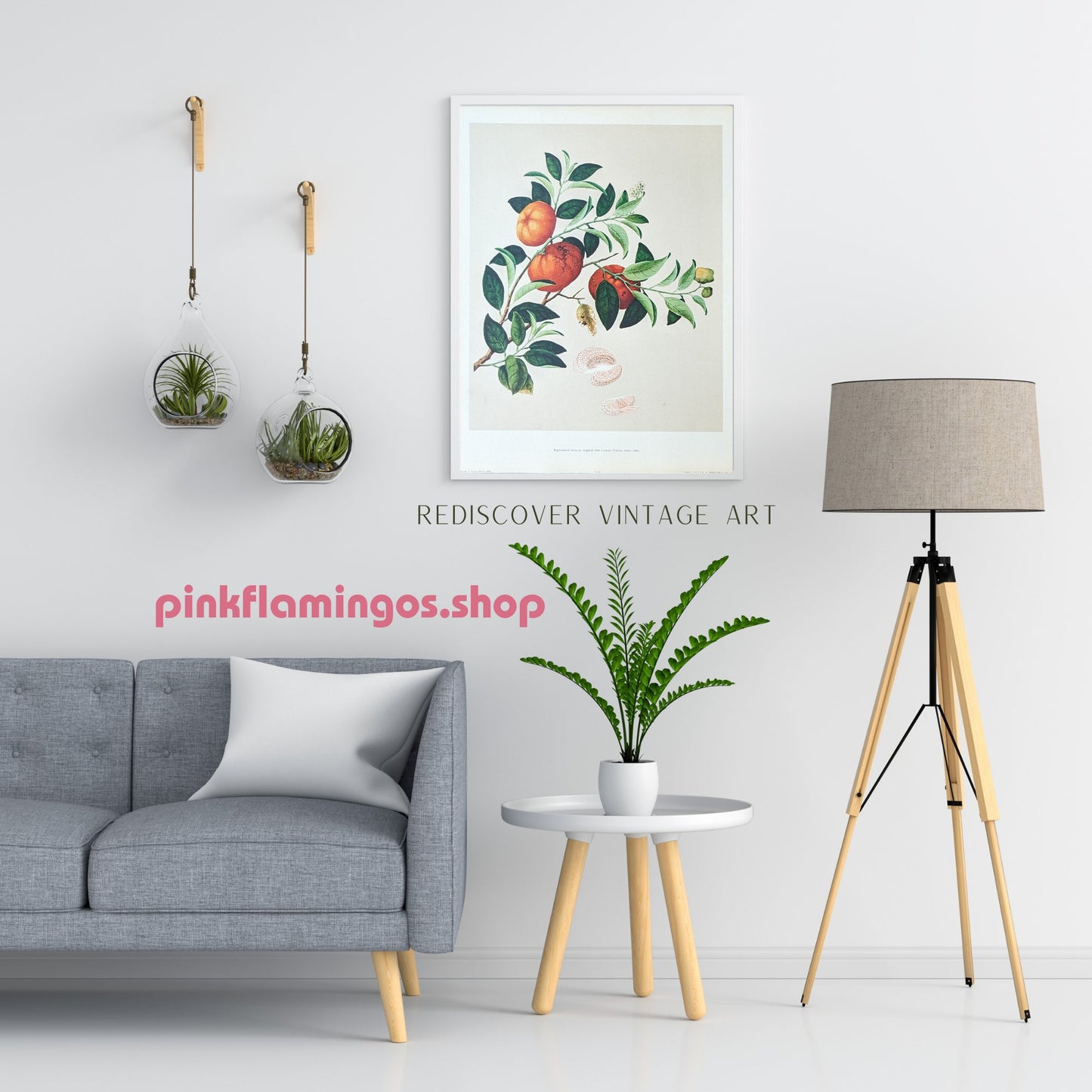 Tangerine - unique vintage collotype wall art circa 1950 from 18th century Chinese artwork - Collotype - Pink Flamingos
