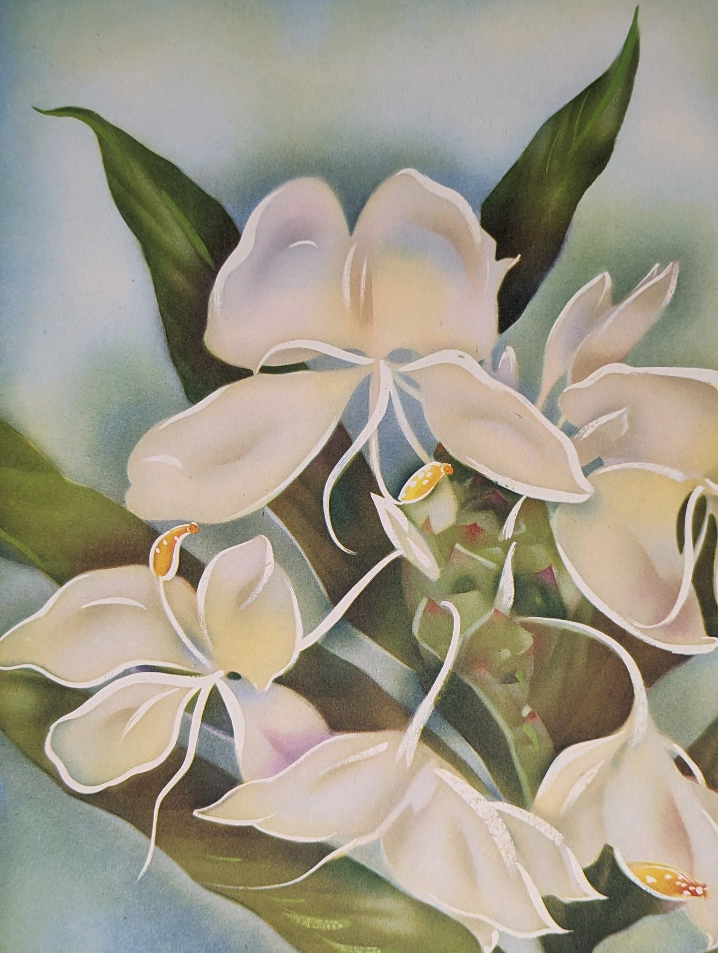 White Ginger, mint condition vintage lithograph printed circa 1940 - Offset Lithograph - Pink Flamingos