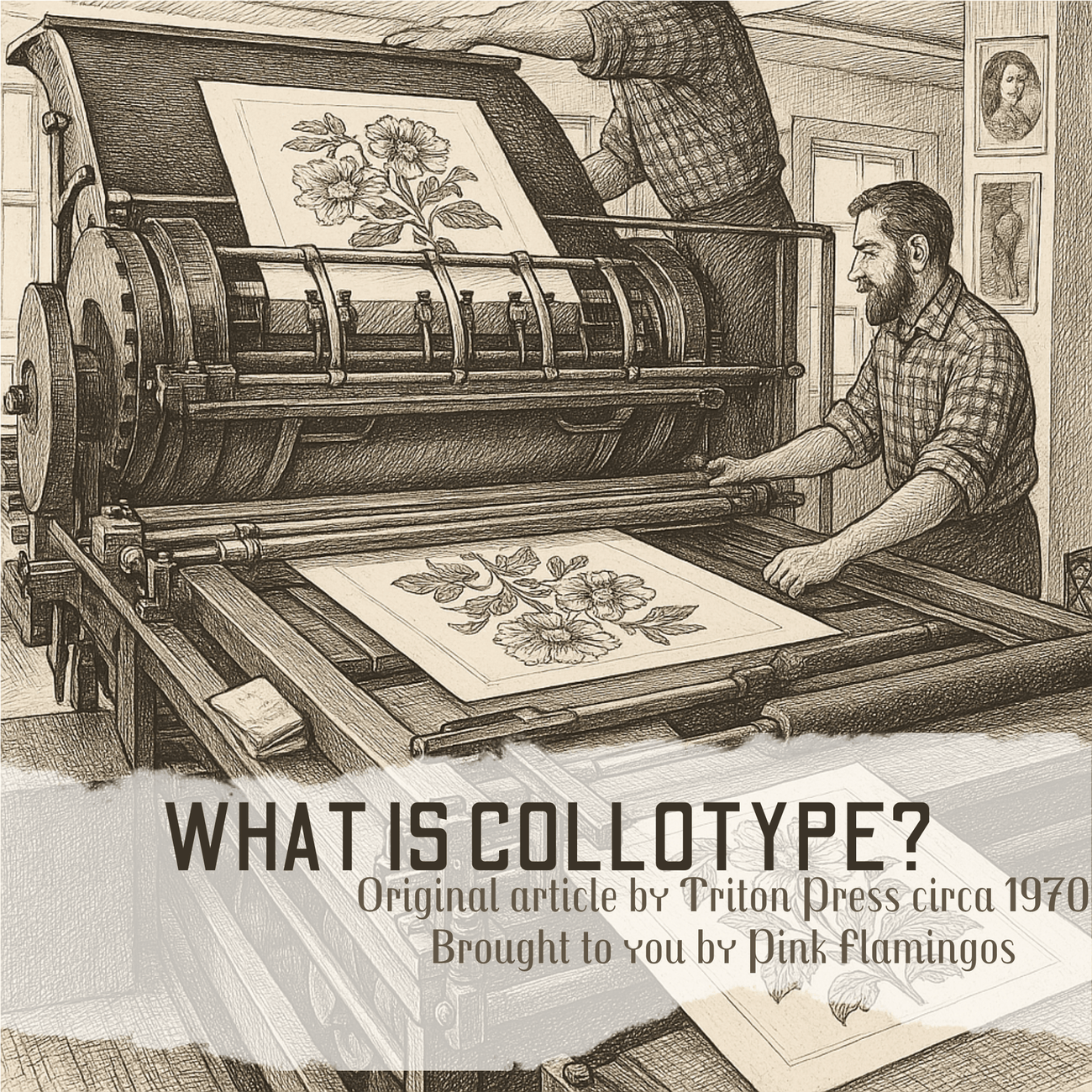 Collotype Printing: Rare Fine Art Lithograph Technique & Dorothy Platt ...