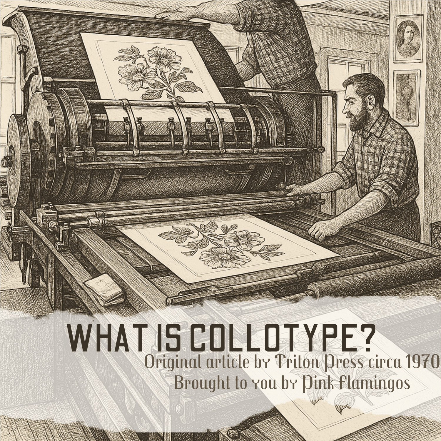 COLLOTYPE at Triton Press, Inc., N.Y.C. - Pink Flamingos