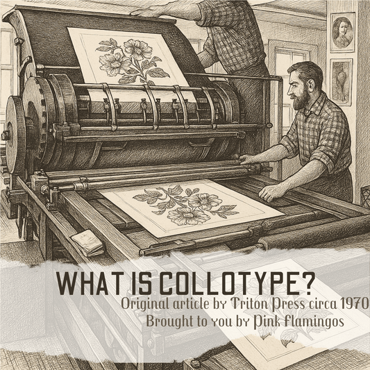 COLLOTYPE at Triton Press, Inc., N.Y.C. - Pink Flamingos