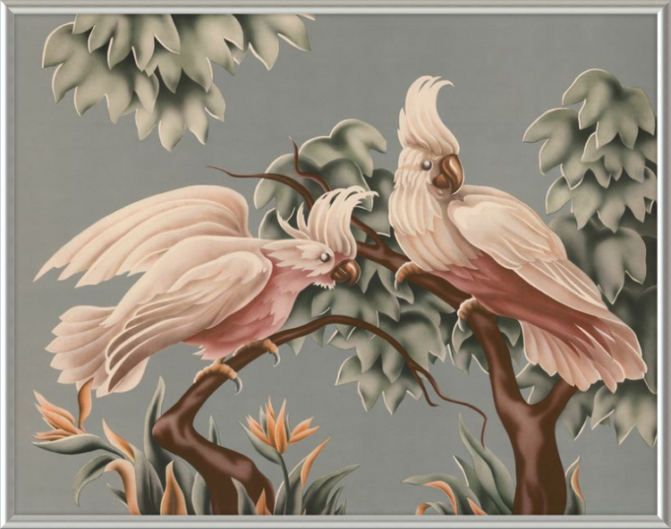 Custom Framed Turner White Cockatoos | Premium Giclee Print | Vintage Bird Lithograph