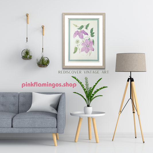 Clematis by Dorothy Platt | 1950 Vintage Botanical Collotype | Queen of Climbers Wall Art