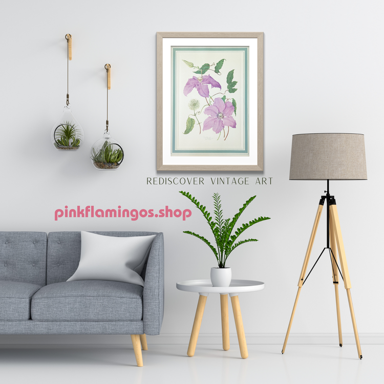 Clematis by Dorothy Platt | 1950 Vintage Botanical Collotype | Queen of Climbers Wall Art