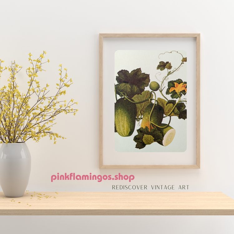 Cucumber | Unique Vintage Collotype Wall Art c.1950 | Chinese Still Life Print