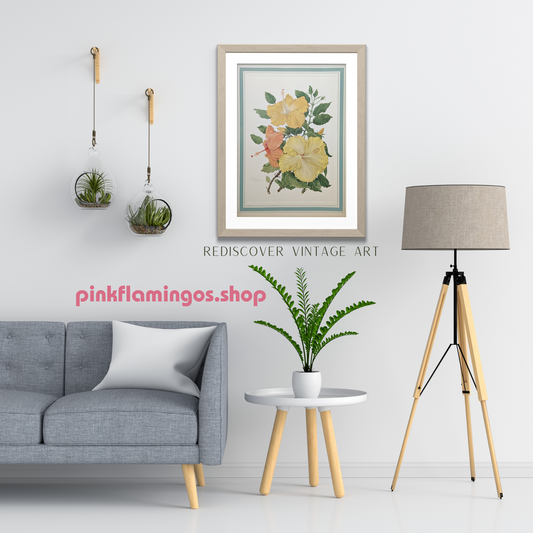 Hibiscus by Dorothy Platt | 1950 Vintage Botanical Collotype | Tropical Wall Art