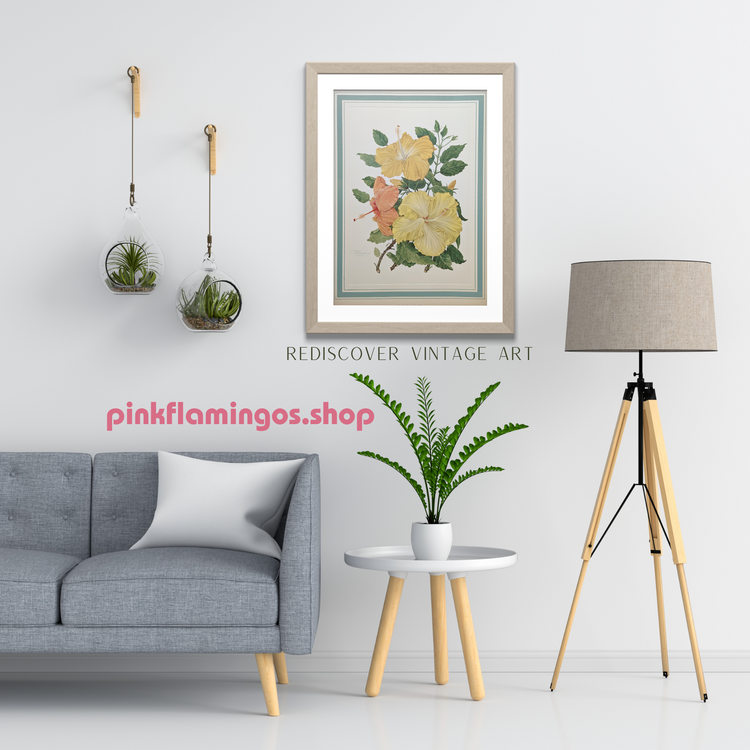 Hibiscus by Dorothy Platt | 1950 Vintage Botanical Collotype | Tropical Wall Art