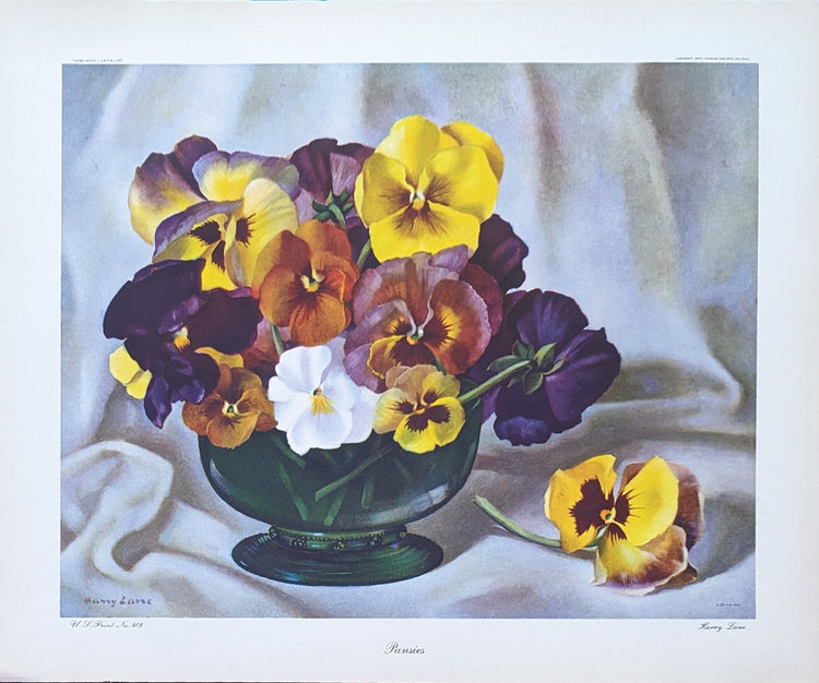 Pansies by Harry Lane | 1945 Vintage Lithograph | Still Life Floral Wall Art