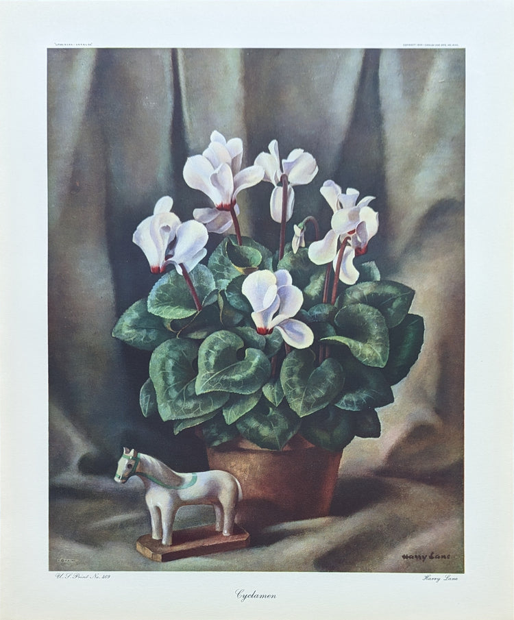 Cyclamen by Harry Lane | 1945 Vintage Lithograph | Still Life Floral Wall Art