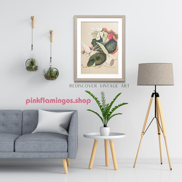 Lotus | 1950 Vintage Chinese Botanical Collotype | Asian Floral Wall Art