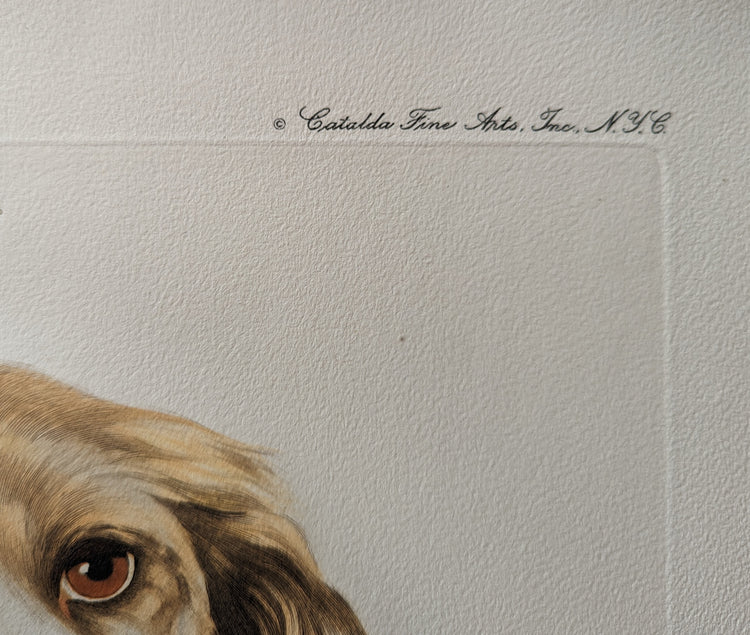 Blond Cocker Spaniel by Rolf Anderson | Vintage 1940s Hand-Colored Engraving | Dog Breed Wall Art