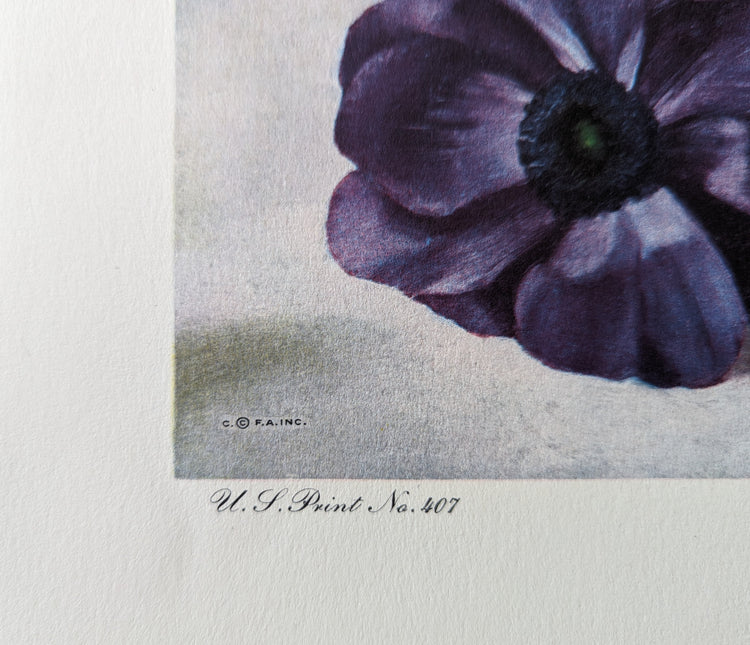 Anemones by Harry Lane | 1945 Vintage Lithograph | Still Life Floral Wall Art