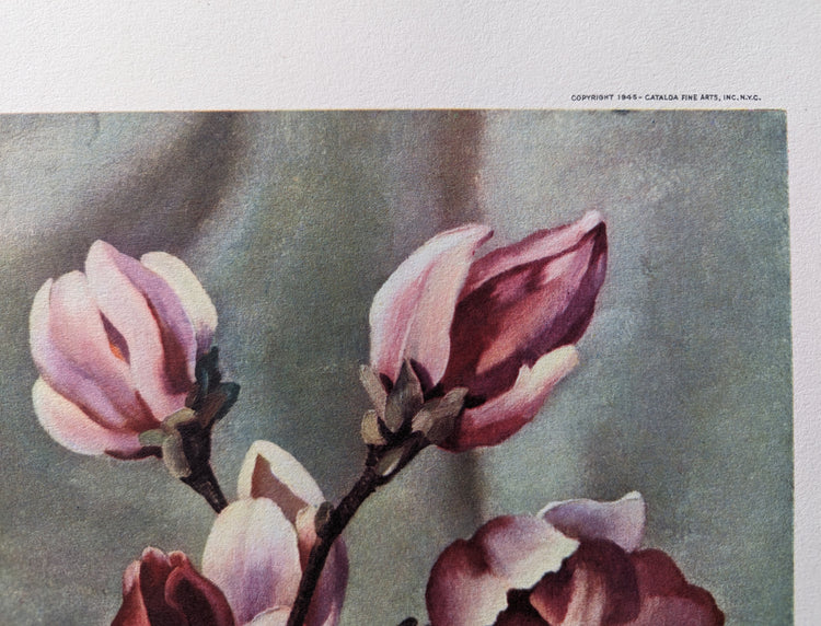 Magnolias by Harry Lane | 1945 Vintage Lithograph | Still Life Floral Wall Art