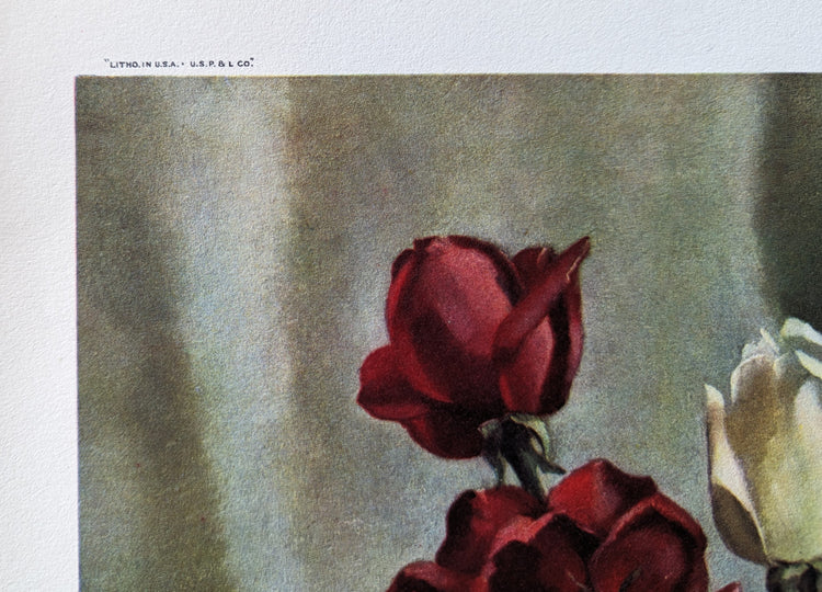 Roses by Harry Lane | 1945 Vintage Lithograph | Still Life Floral Wall Art