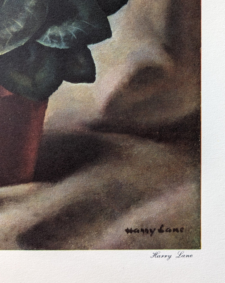 Cyclamen by Harry Lane | 1945 Vintage Lithograph | Still Life Floral Wall Art