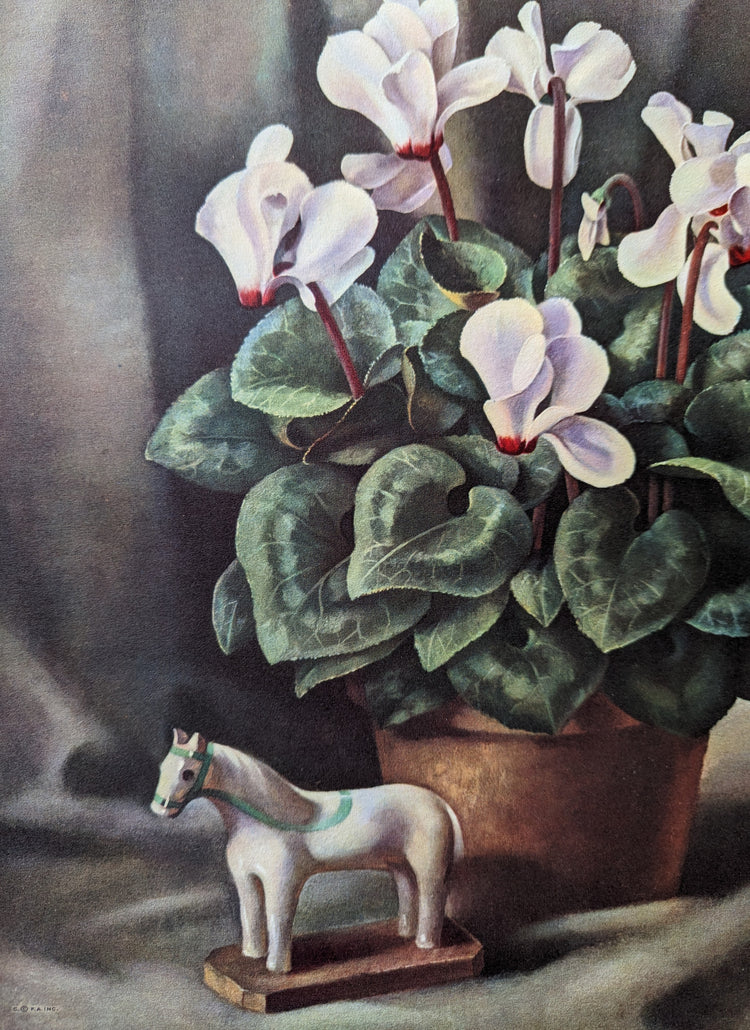 Cyclamen by Harry Lane | 1945 Vintage Lithograph | Still Life Floral Wall Art