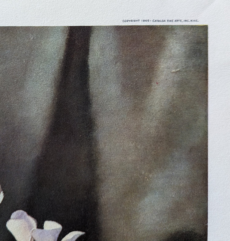 Cyclamen by Harry Lane | 1945 Vintage Lithograph | Still Life Floral Wall Art