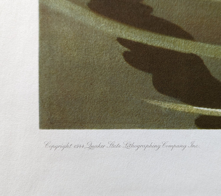 Snowy Egrets by Roger Tory Peterson | 1940s Audubon Style | Offset Lithograph | Coastal or Nature-Inspired Decor