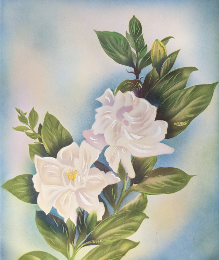 White Gardenia | 1950s Hawaiian Floral Lithograph | Vintage Tropical Wall Art