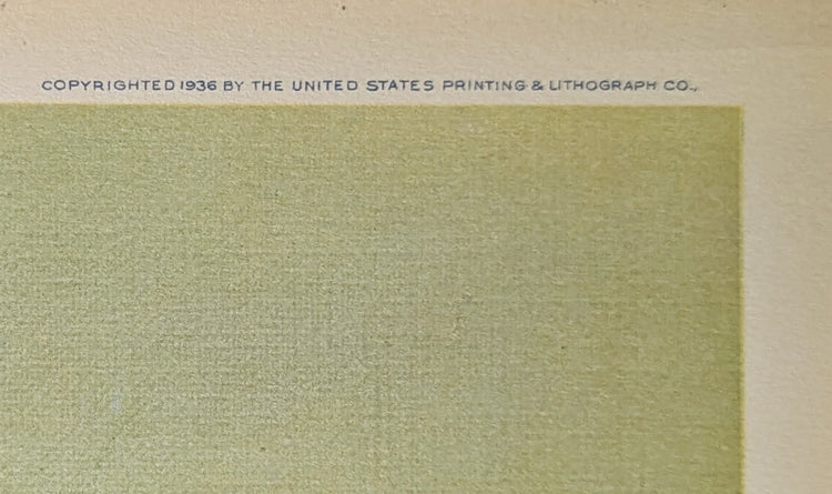 Bunny Taxi Service by Reneé Barnes | 1930s Vintage Lithograph | Whimsical Nursery Wall Art