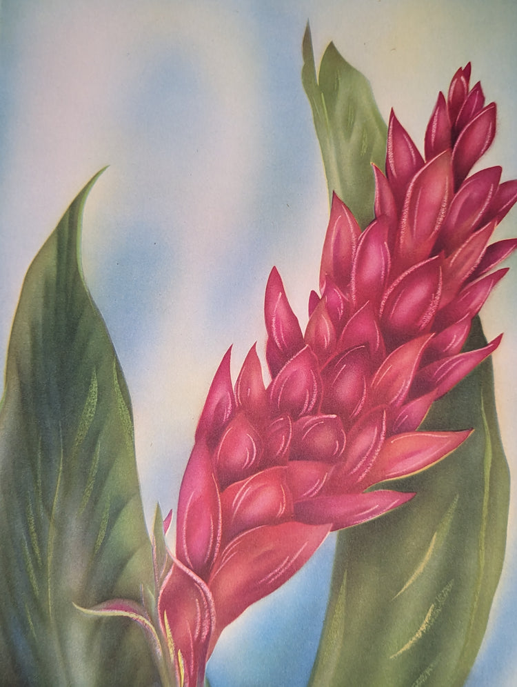 Red Ginger | 1950s Hawaiian Floral Lithograph | Vintage Tropical Wall Art