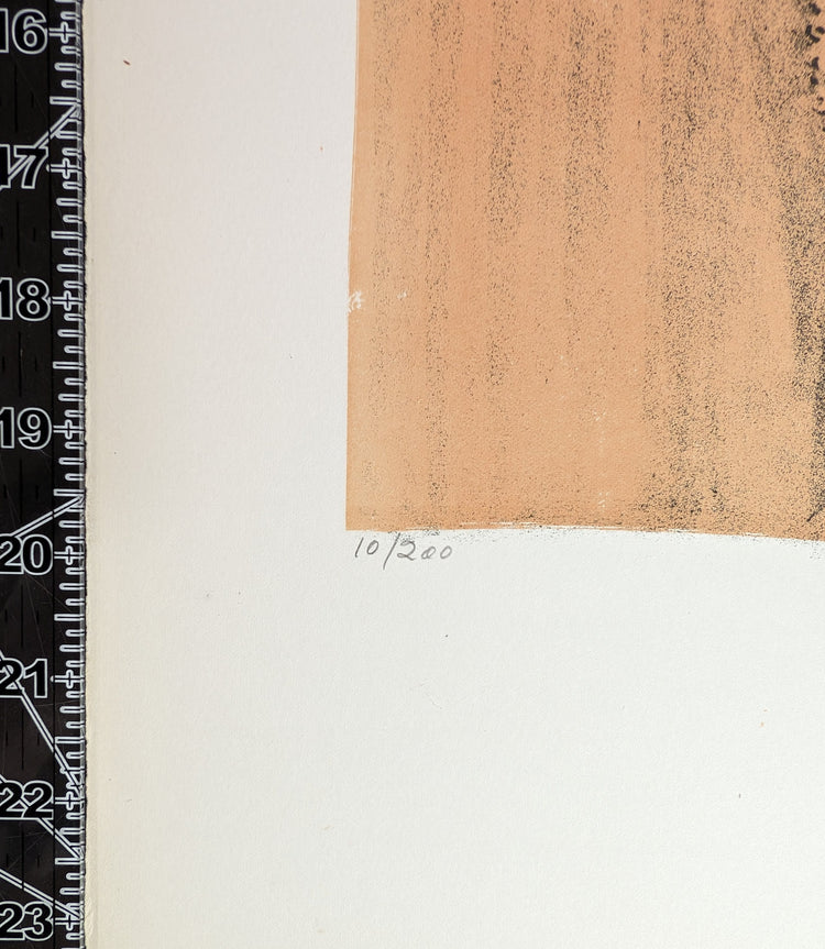 Mother and Baby by Frank Palmieri | 1970s Signed Lithograph | Vintage Family Wall Art